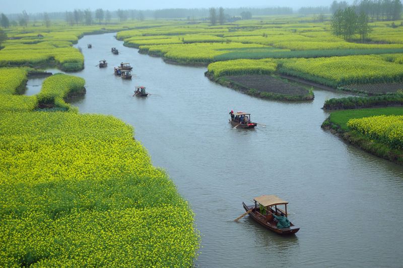 2014芳恩家居興化賞油菜花